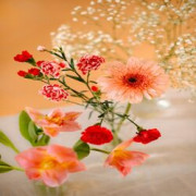 Flowers & Gifts logo